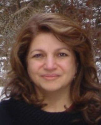 Hamideh Afsarmanesh